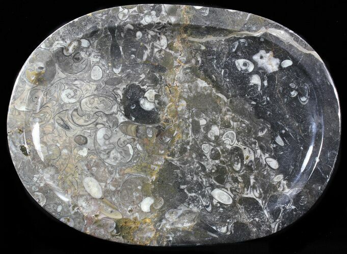 / Fossil Orthoceras & Goniatite Plate - Stoneware #40388